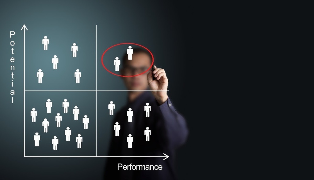 Hi-Potential Employee Management - Certificate Course